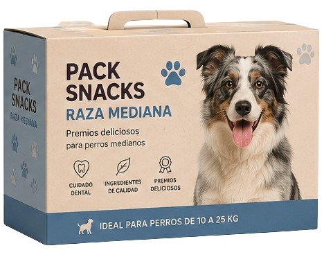 DoggyBox Medium