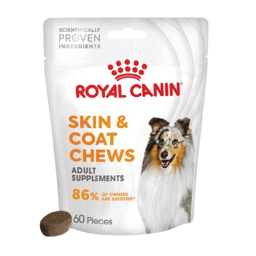 Skin and Coat Chews